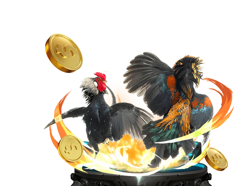 Cá cược Đá gà OK365